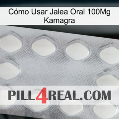 Cómo Usar Jalea Oral 100Mg Kamagra 16